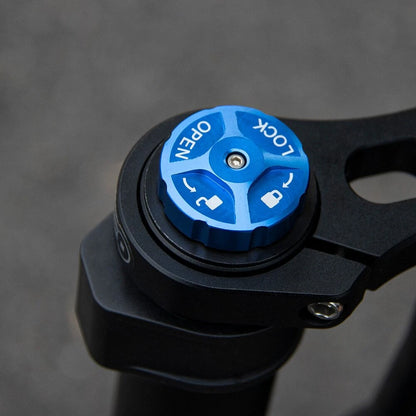 Bolany Downhill Forks